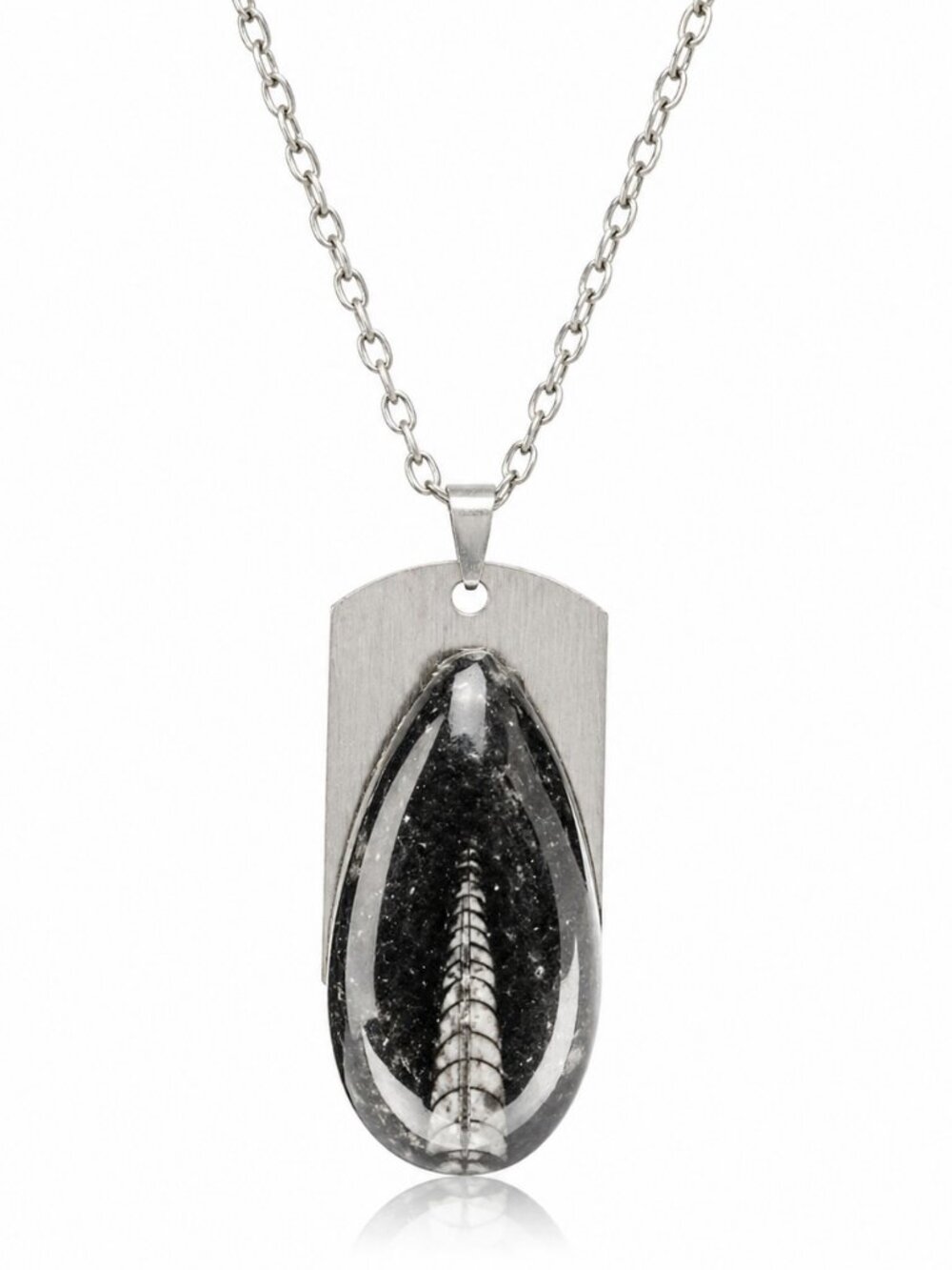 Handmade Gemstone Jewelry Fossil Ammonite Pendant Black Stone Necklace Steel